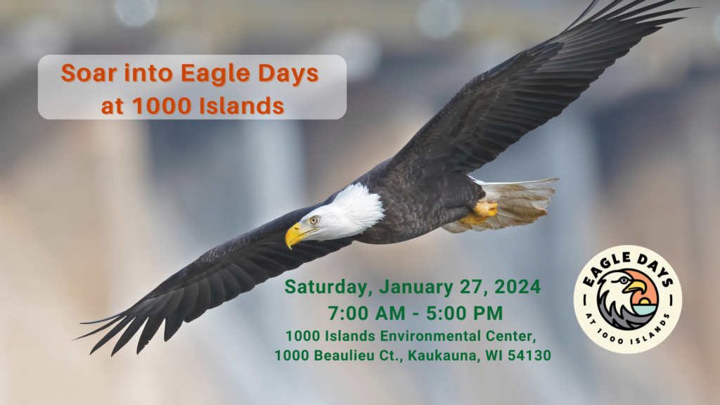 SAVE THE EAGLES DAY - January 10 - National Day Calendar